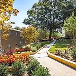 Moonlight Suite King Bd Free Parking Fast Wi-Fi Kitchen Pool
