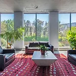 804 Free Parking Modern Downtown Apt, Great Wifi