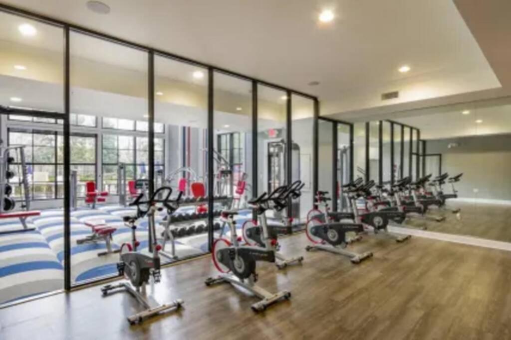 Entire Apartment-comfy/cozy 2bd2ba Near Perimeter - A Dunwoody Oasis