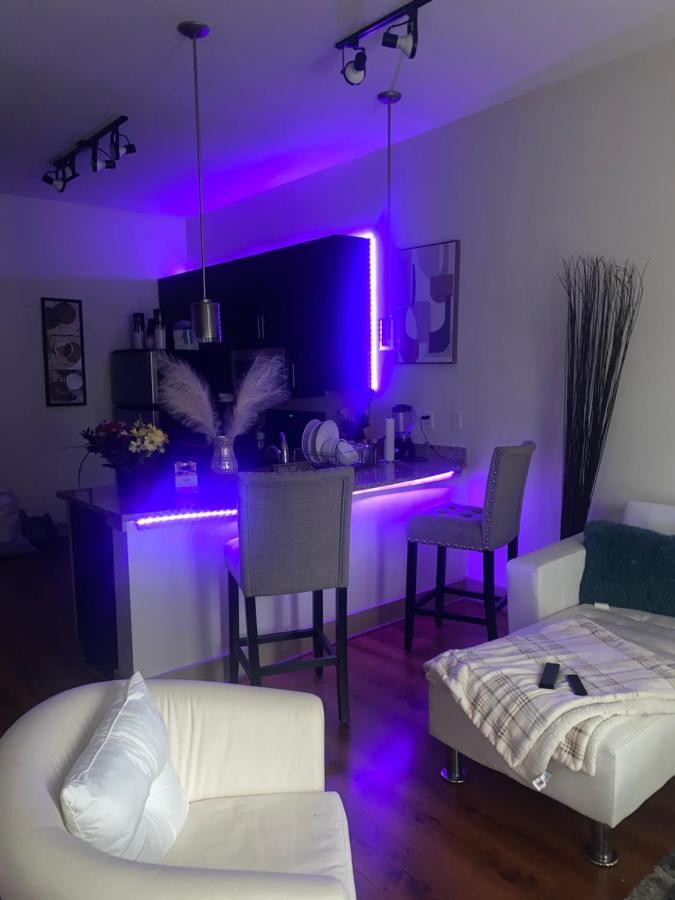 Apartment 1bd Gorgeous Loft In Buckhead Free Wi-fi, Parking Atlanta