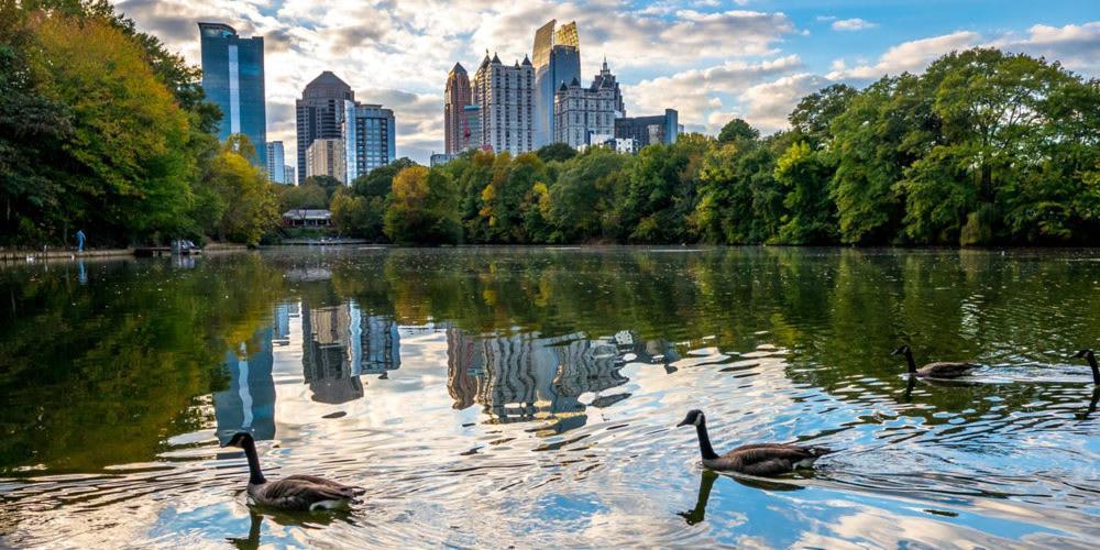 Apartment Geranium Giant Close Proximity To Piedmont Park Atlanta