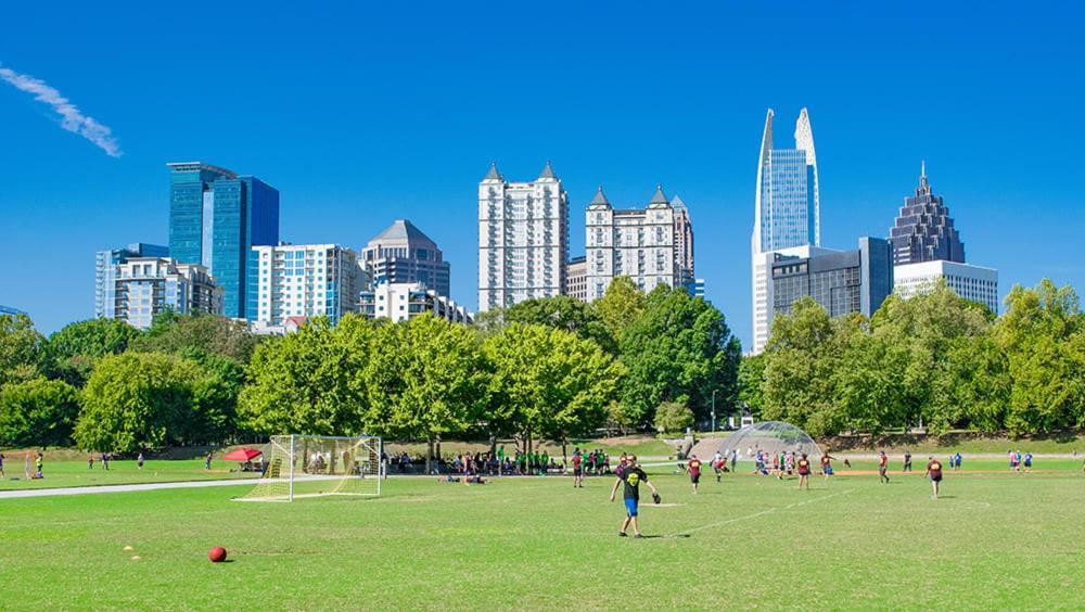 Geranium Giant Close Proximity To Piedmont Park
