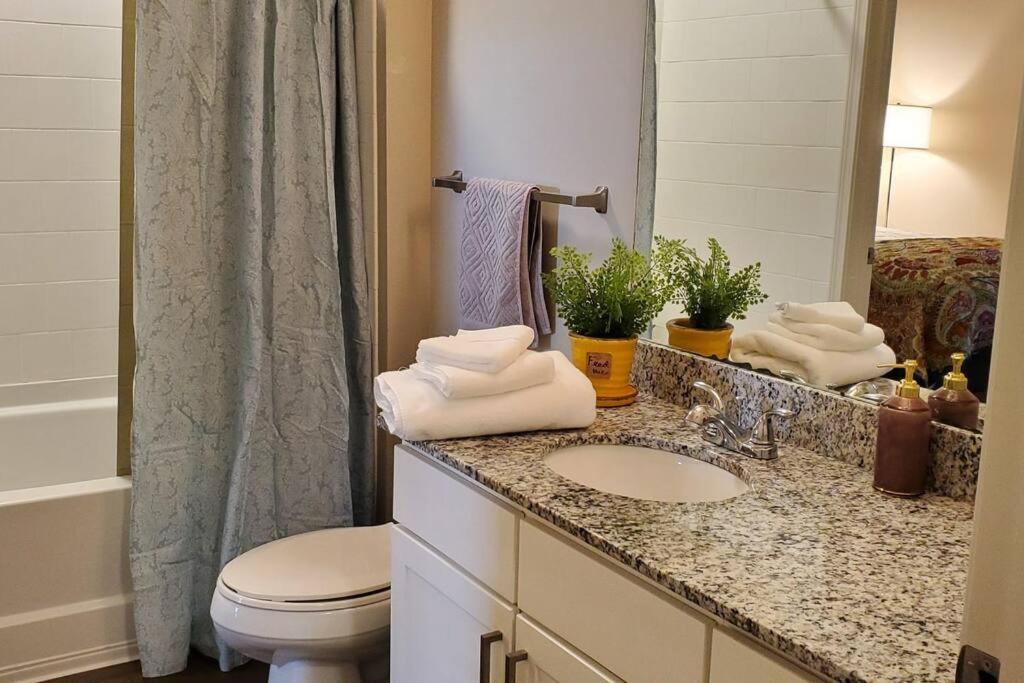 Buckhead Luxe Apartment Atlanta