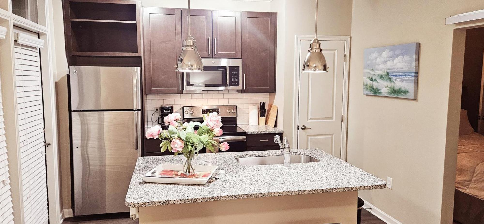 Buckhead Style Apartment