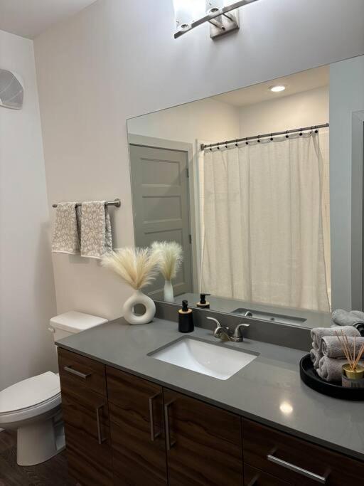 Luxuristay In *