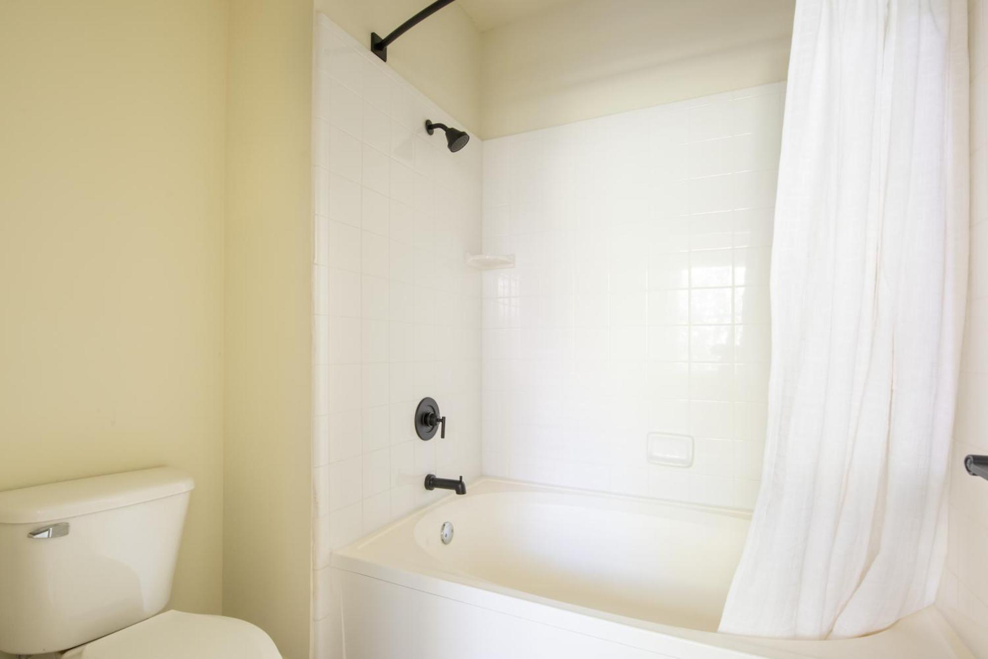 Tres Chic Apartment Atlanta