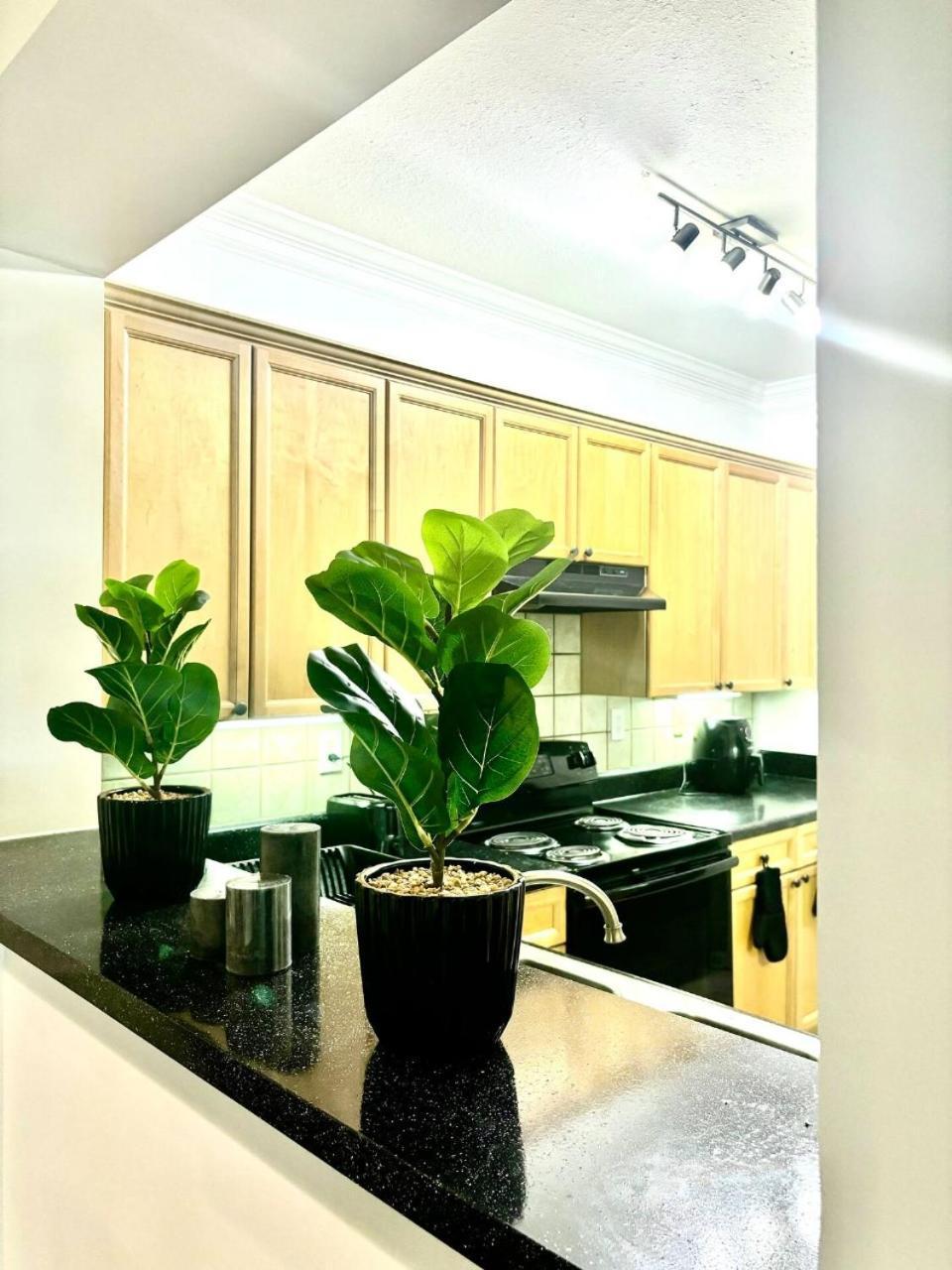 Luxury -2br- Buckhead Retreat - Free Parking Apartment Atlanta