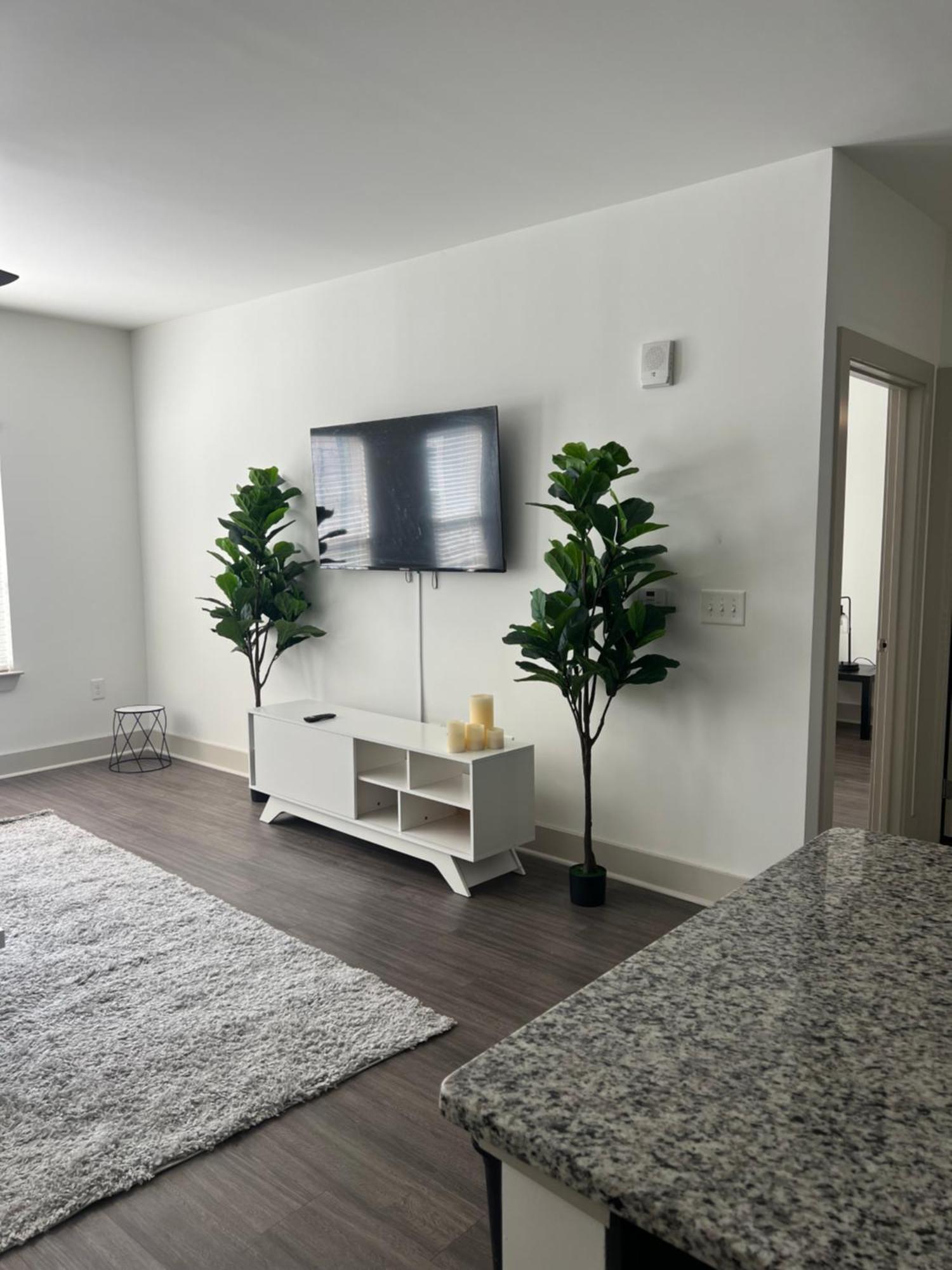 Beautiful At Midtown Apartment Atlanta
