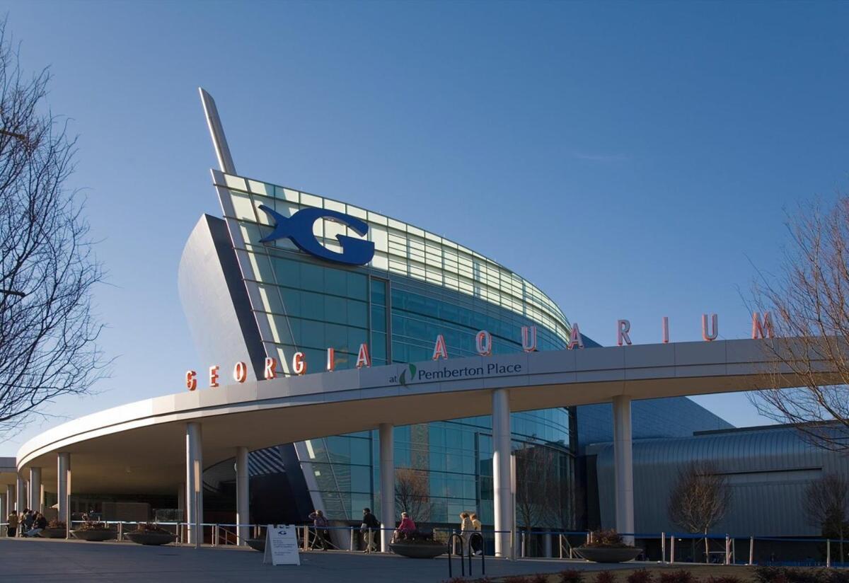 Walkable! Mins From Stadium, Gwcc, Aquarium *