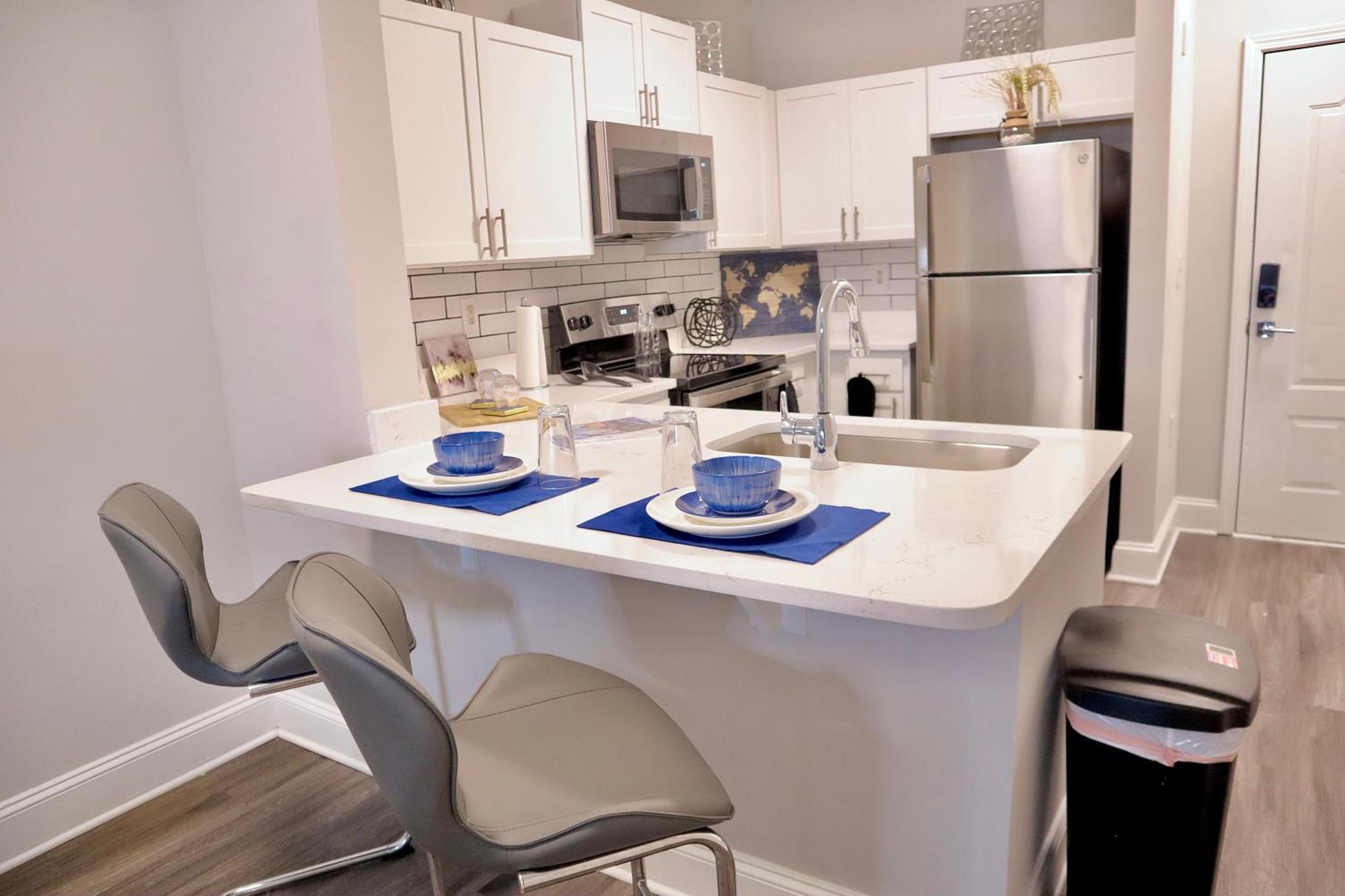 Buckhead Palace Apartment *