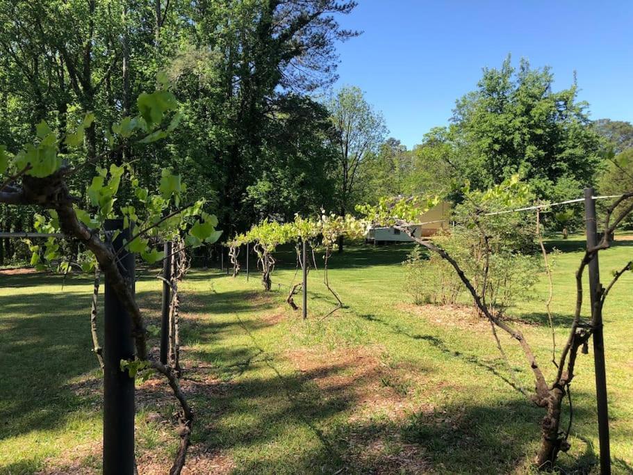 Beautiful Near Atlanta's Airport! *