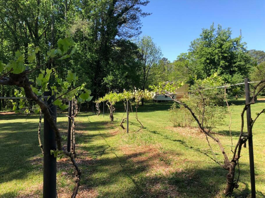 Beautiful Near Atlanta's Airport! * Atlanta