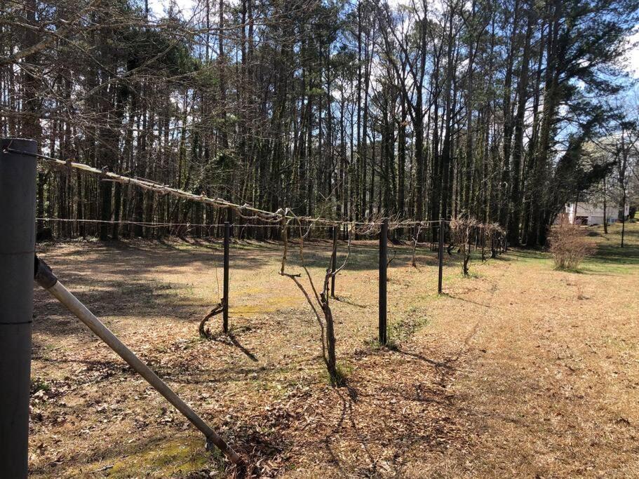 Beautiful Near Atlanta's Airport! Holiday home