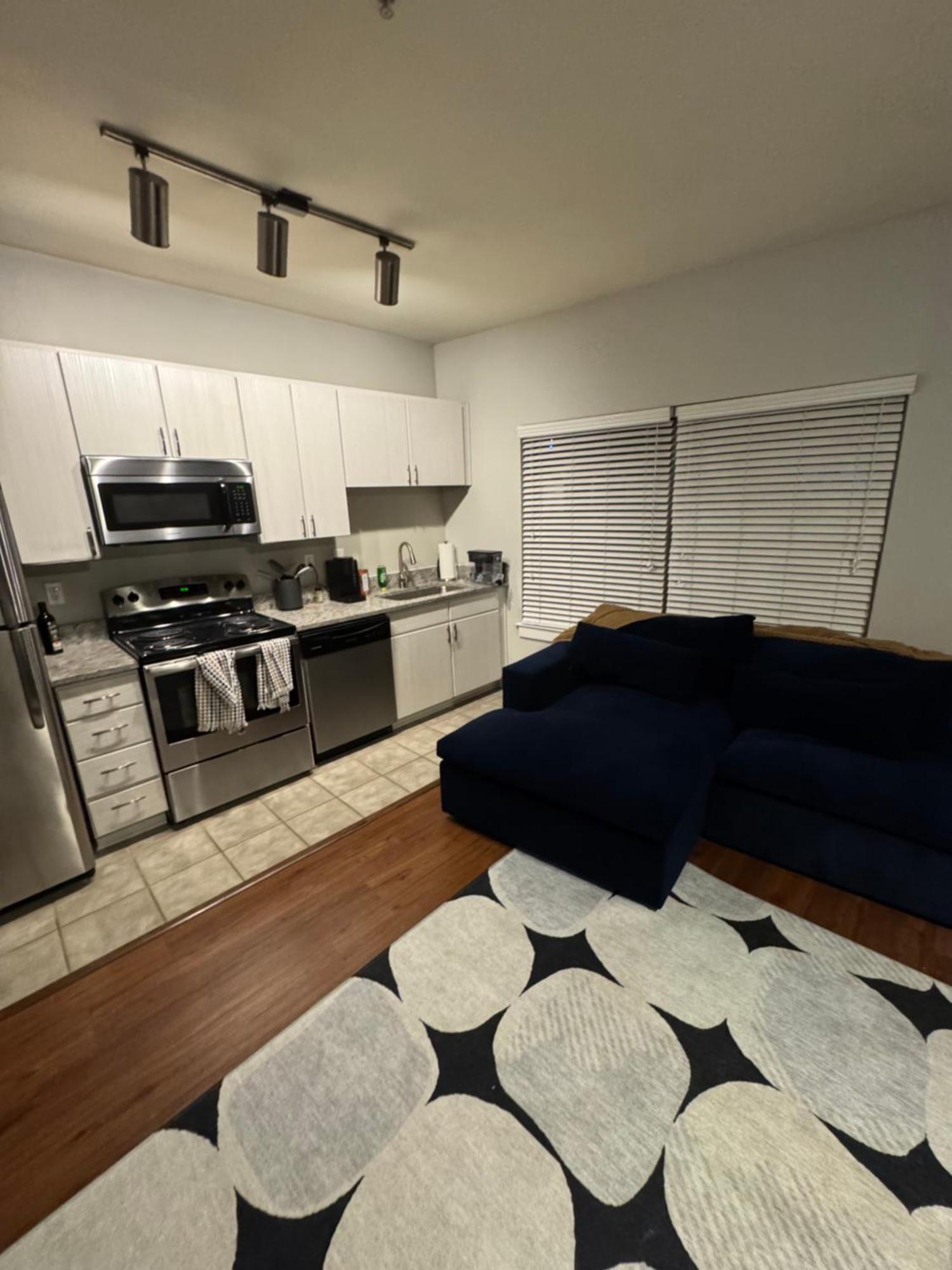 Studio Apt King Bed, Beltline Eastside Trail - Pets Welcome! Apartment *