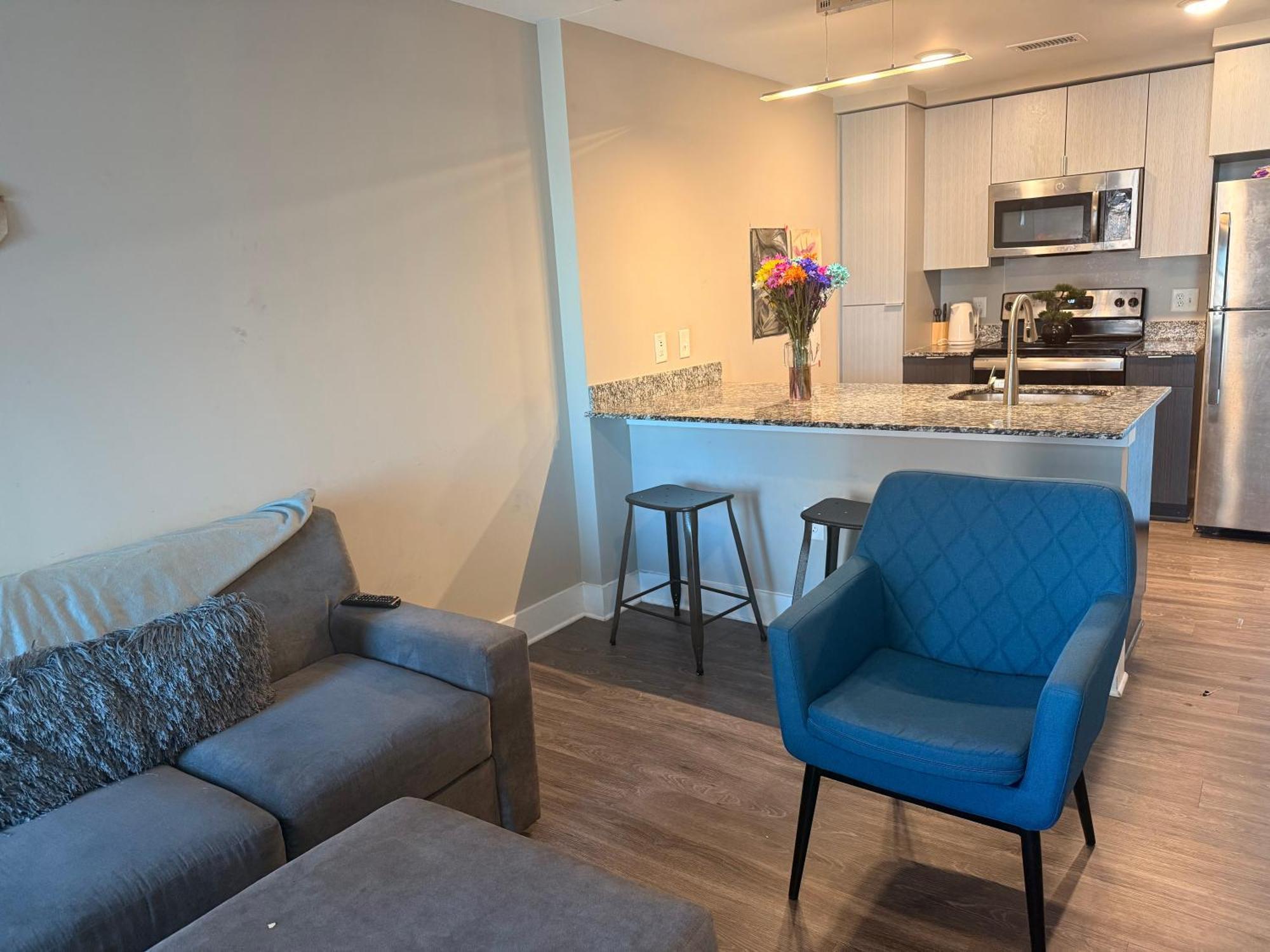 Apartment Lux High Rise One Stop Atlanta