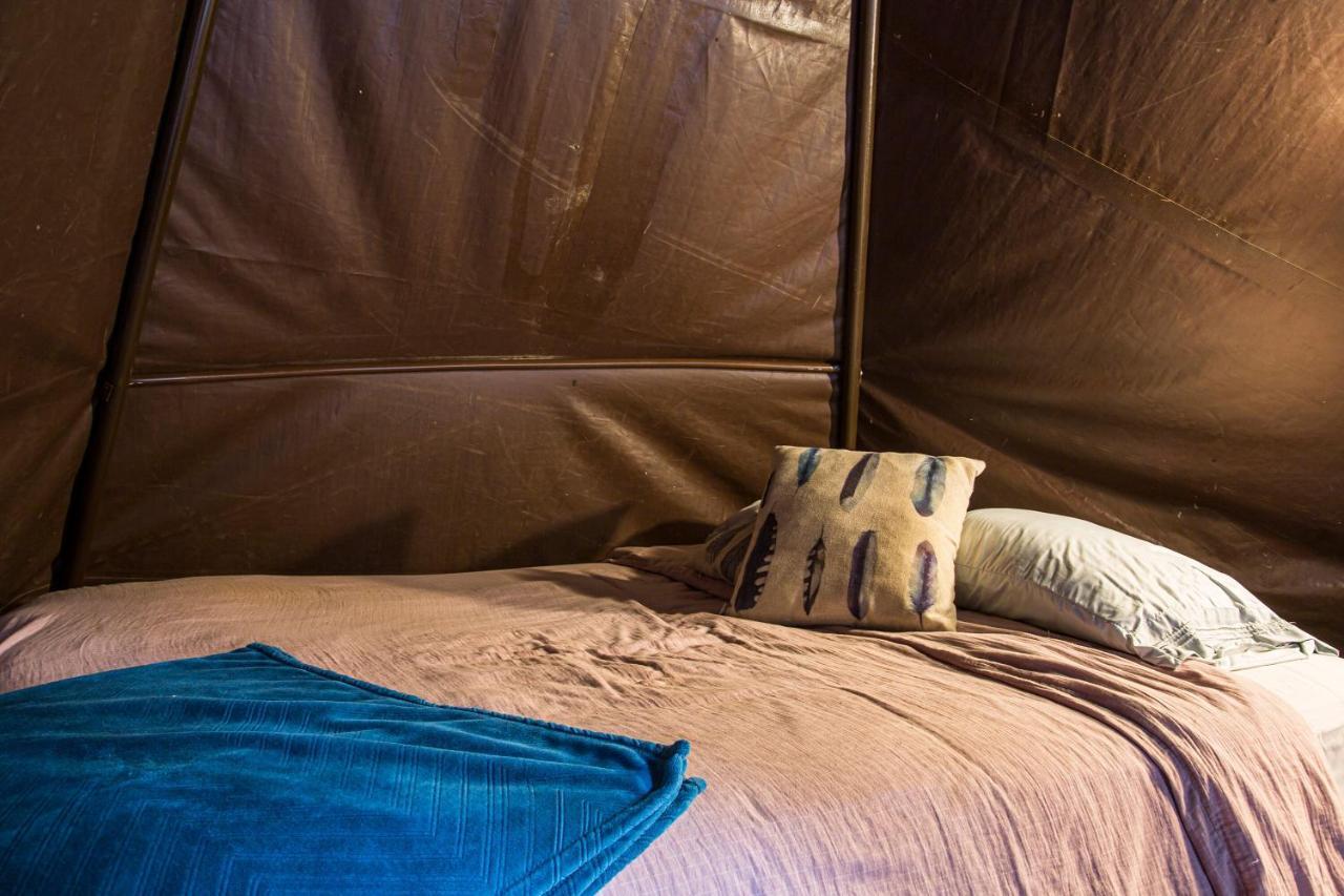 Cc Homestead Capsule hotel Atlanta